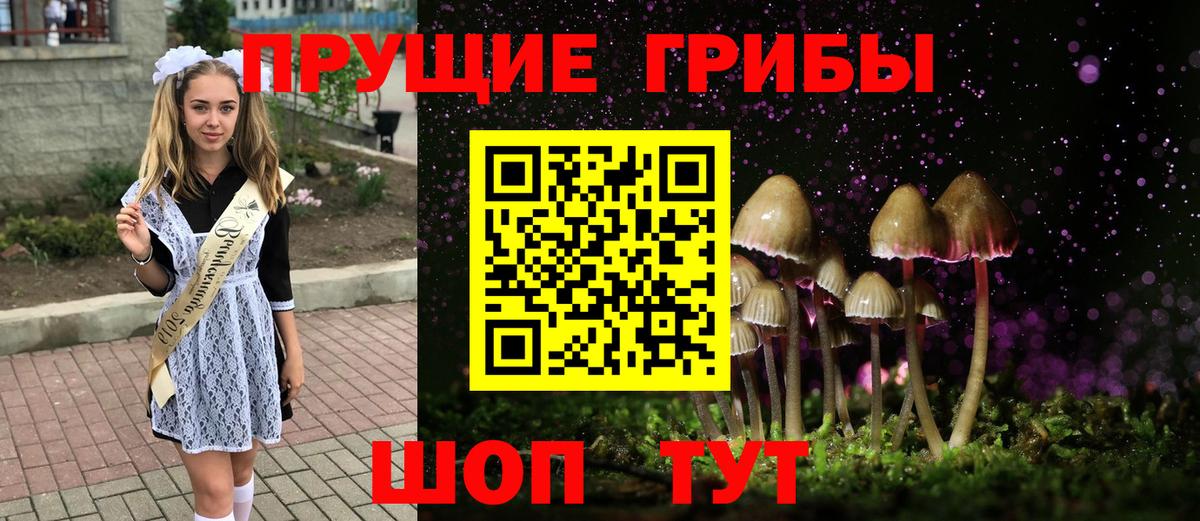Псилоцибиновые грибы мухоморы  Вход с VPN  Кашира  Псилоцибиновые грибы мухоморы 